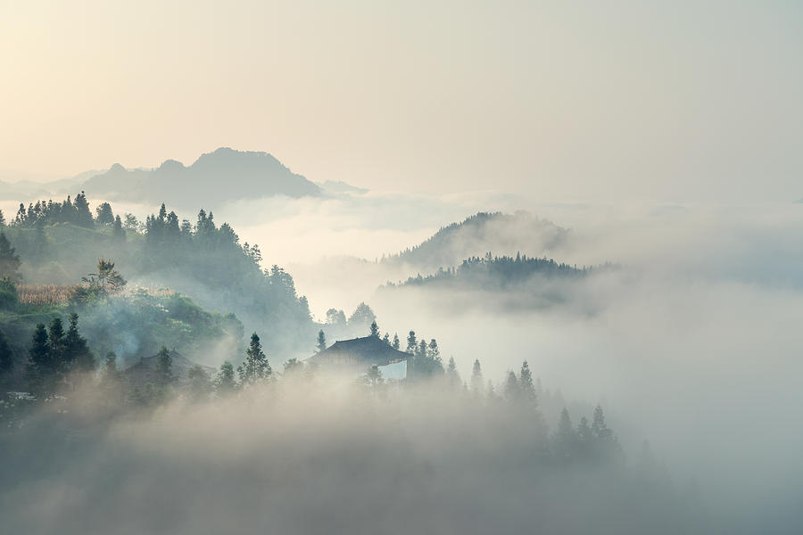 The morning mist #1 Photograph by Yangphoto