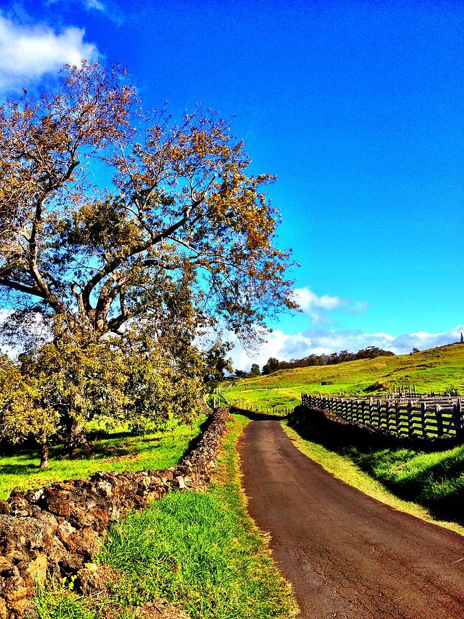 The Narrow Road Photograph by Julianne Baltrus