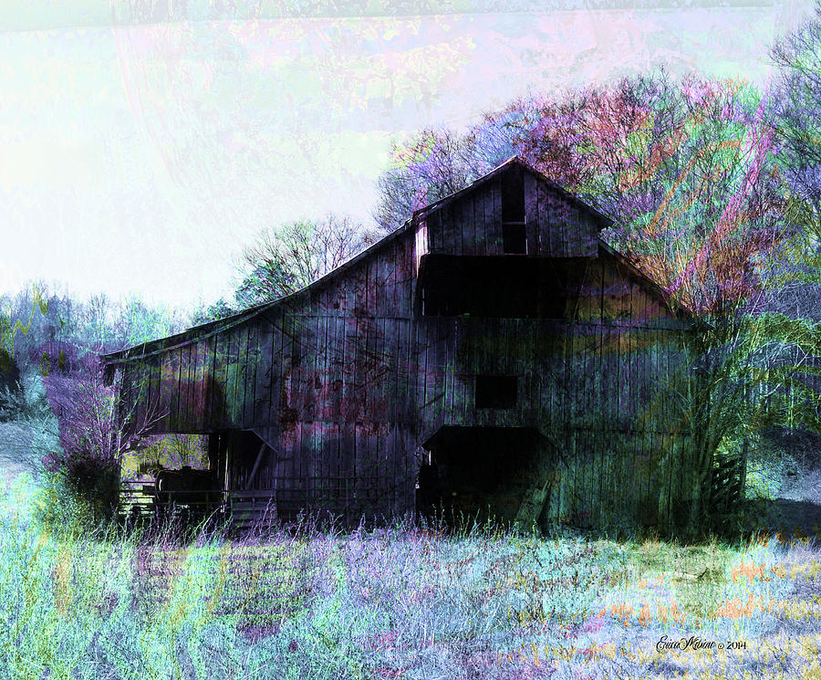 Tree Photograph - The Old Barn #2 by Ericamaxine Price