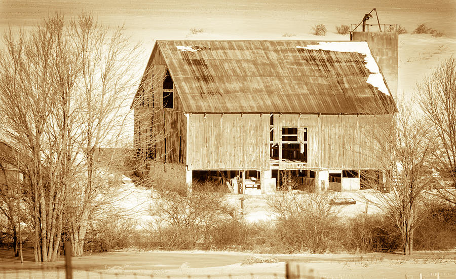 The old barn #1 Photograph by Nick Mares