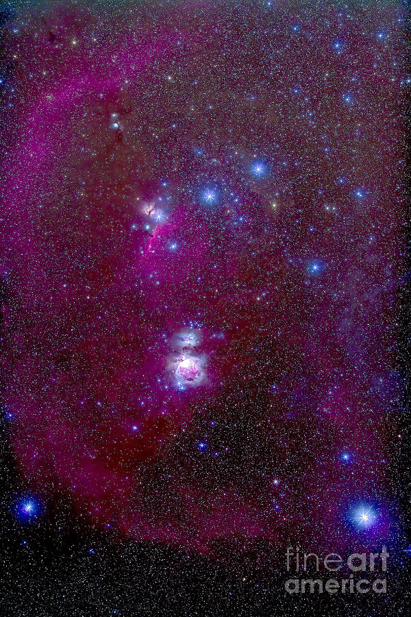 Space Photograph - The Orion Nebula, Belt Of Orion, Sword #1 by Alan Dyer
