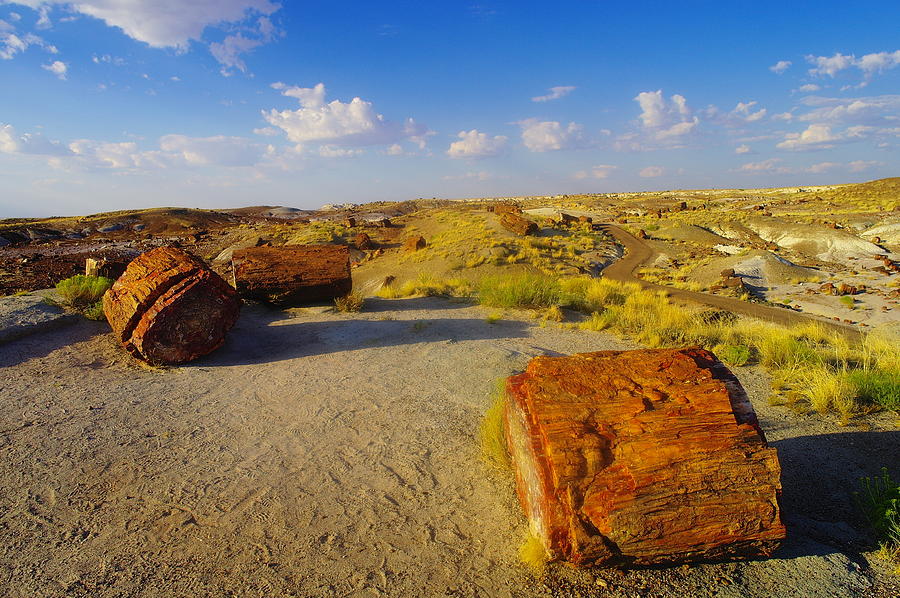 Desert Photograph - The Painted Desert #2 by Jeff Swan