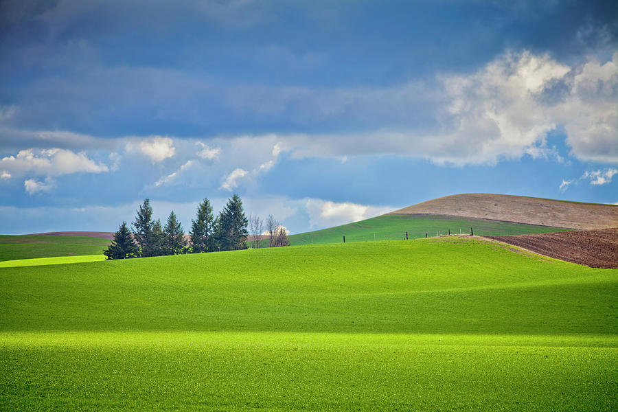 The Palouse #1 Photograph by Mel Curtis