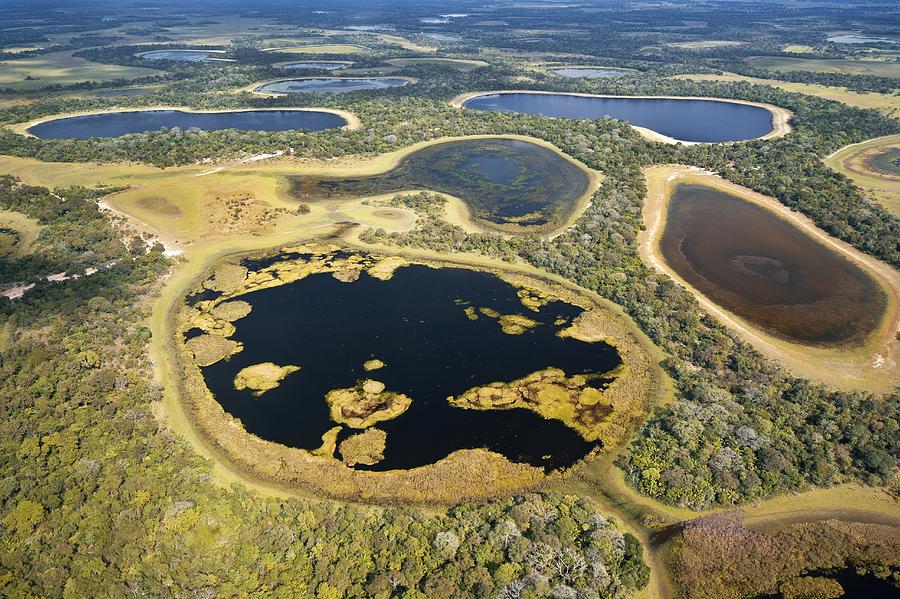 The Pantanal, Brazil Photograph by Science Photo Library - Fine Art America