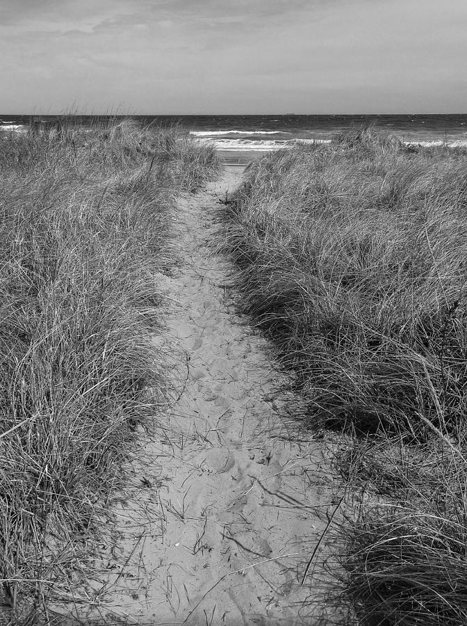 The Path monochrome Photograph by Glenn DiPaola