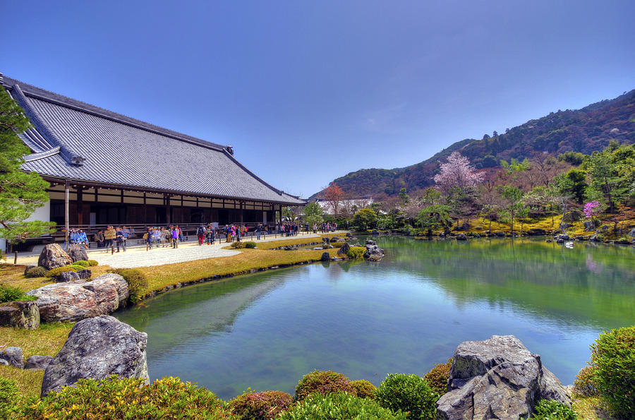 The Pond at Tenryuji Temple #1 Photograph by Matt Swinden