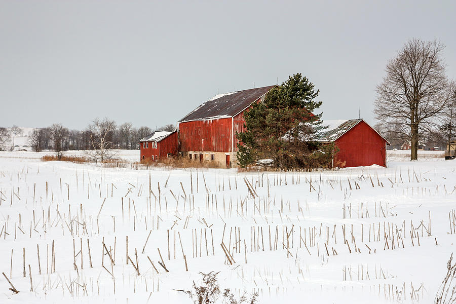 Winter Photograph - The red Barn #1 by Nick Mares