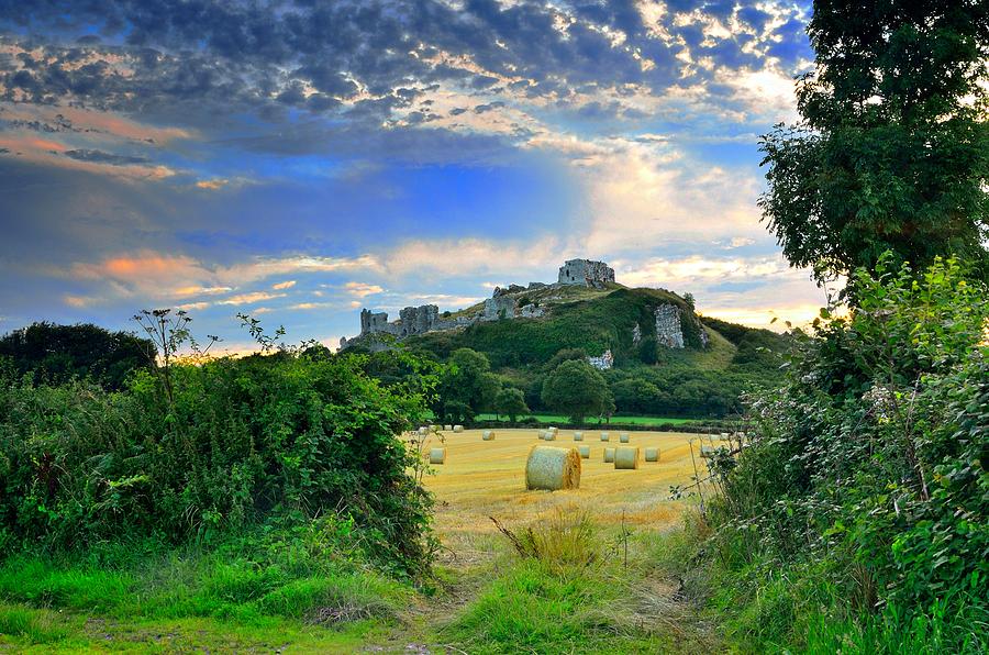 Nature Photograph - The Rock of Dunamase #2 by Fergal Gleeson