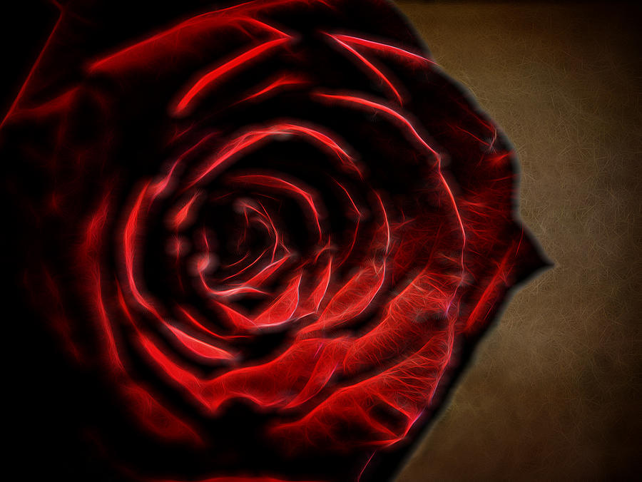 The Rose Digital Art #1 Digital Art by Ernest Echols