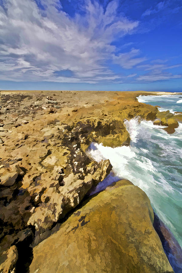 The Rough Side of Aruba #2 Photograph by David Letts