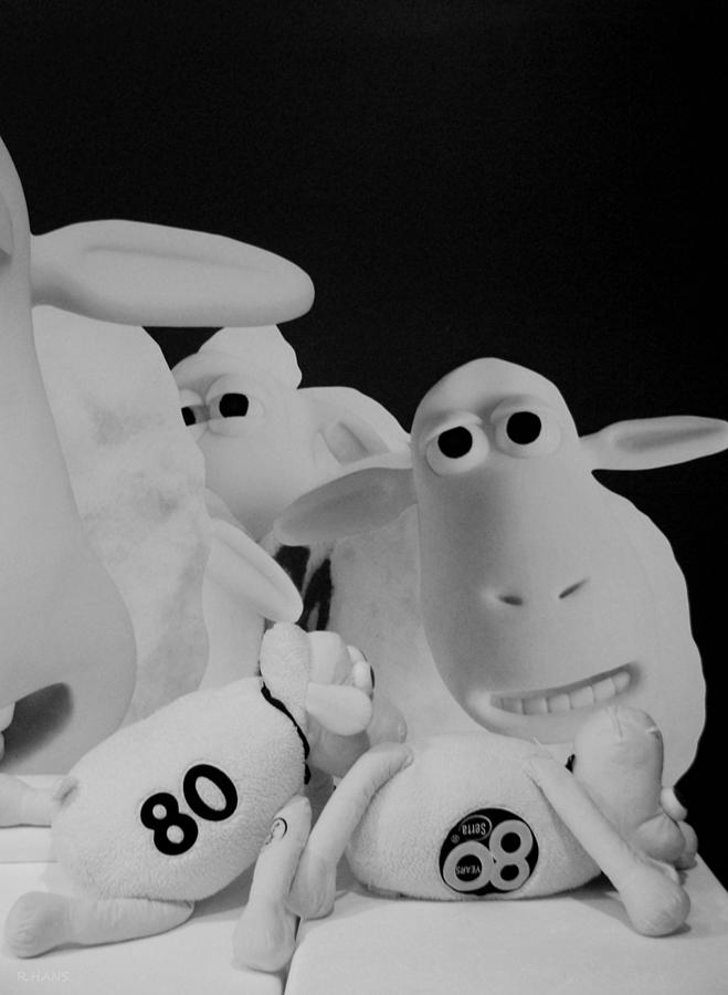 THE SHEEP ARE ALWAYS WATCHING in BLACK AND WHITE #2 Photograph by Rob Hans