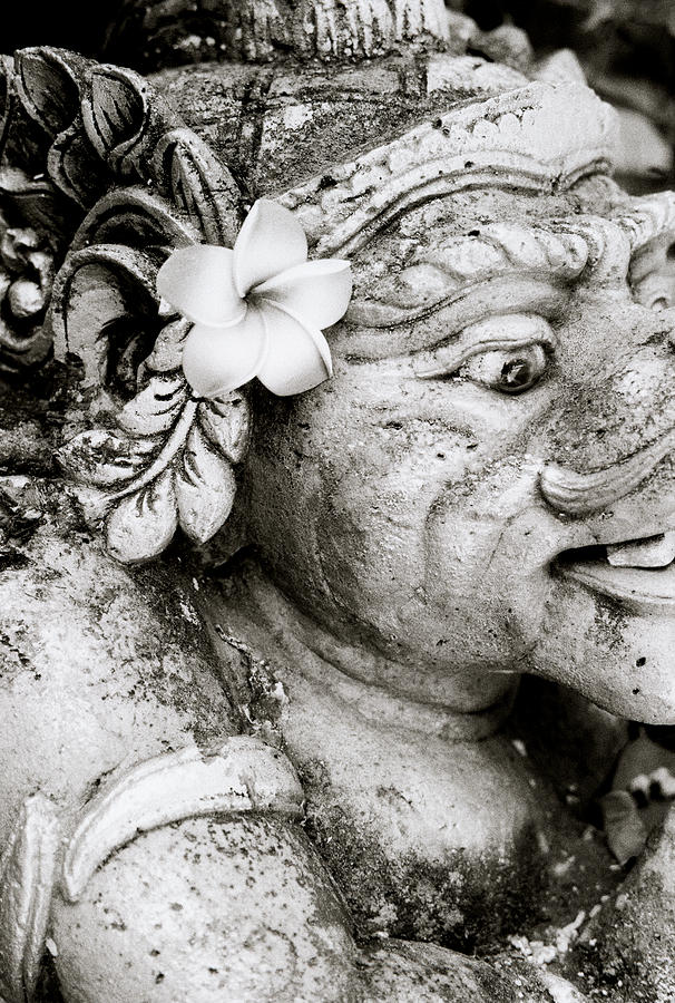 The Shrine In Bali Photograph by Shaun Higson