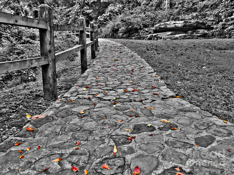 Black And White Photograph - The Stone Path by Bob Mintie