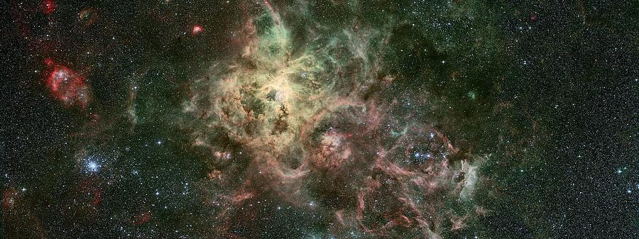 The Tarantula Nebula #1 Photograph by Celestial Images