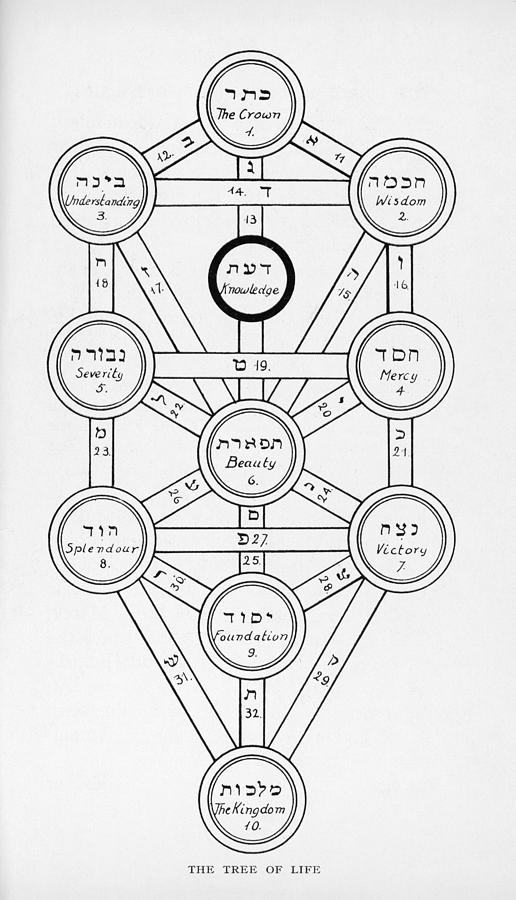Tree Drawing - The Tree Of Life Of The Jewish  Caballa #1 by Mary Evans Picture Library