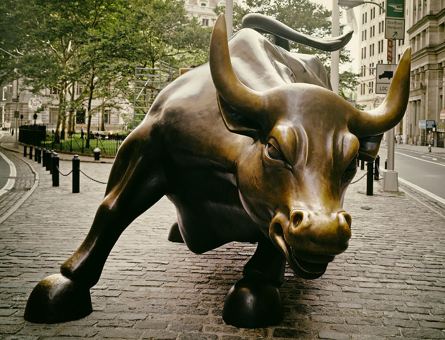 New York City Photograph - The Wall Street Bull #1 by Mountain Dreams