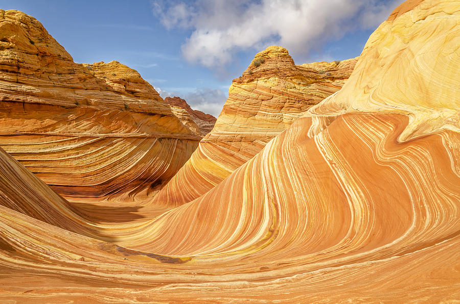 Desert Photograph - The Wave #1 by Dustin LeFevre