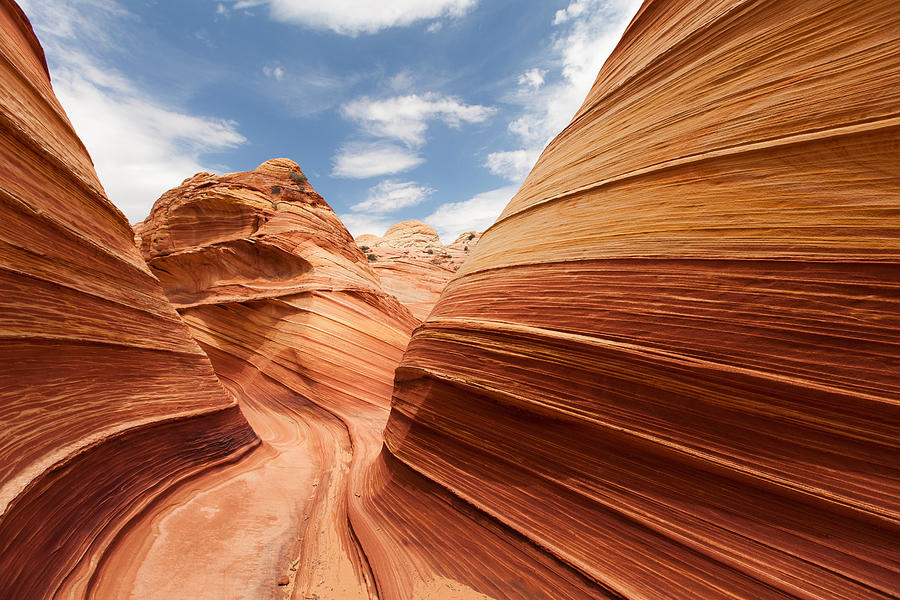 The Wave - North Coyote Buttes #1 Photograph by Patrick Leitz
