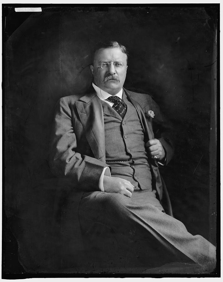 Theodore Roosevelt #1 Digital Art by Georgia Clare