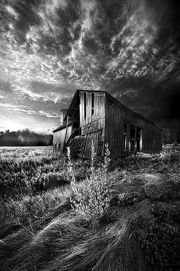 Black And White Photograph - There Was a Time #1 by Phil Koch