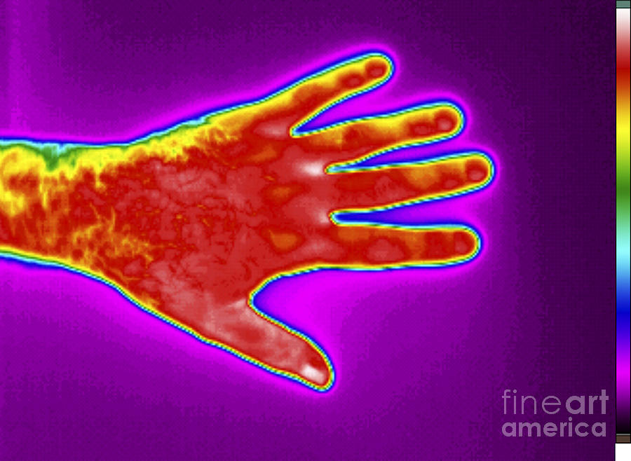 Thermogram Of A Mans Hand #1 Photograph by GIPhotoStock