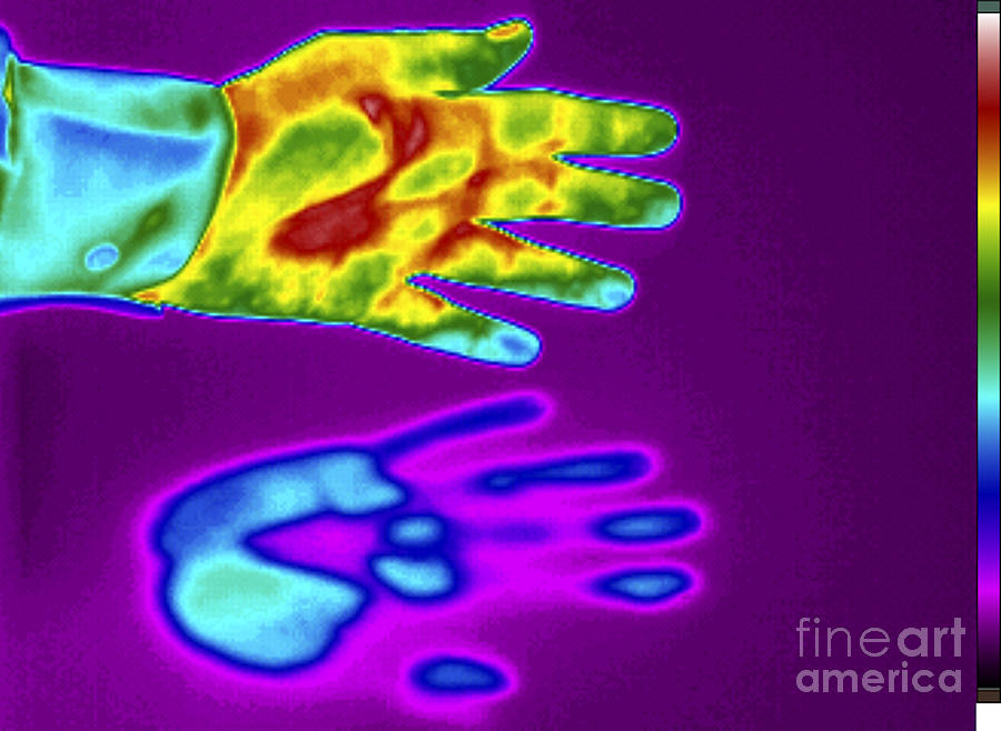 Thermogram Of A Thermal Shadow #1 Photograph by GIPhotoStock