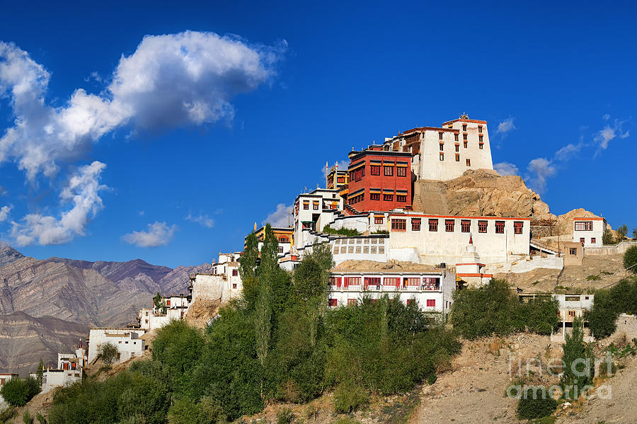 Buddha Photograph - Thiksay monastery Ladakh Jammu and Kashmir India #1 by Rudra Narayan  Mitra