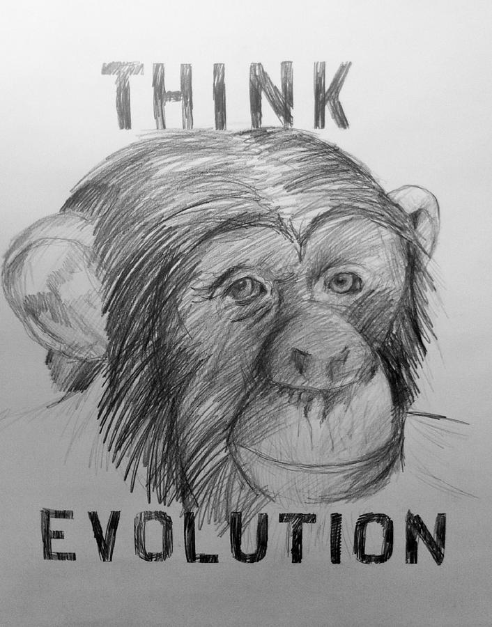 Think Evolution #1 Drawing by Gerry High