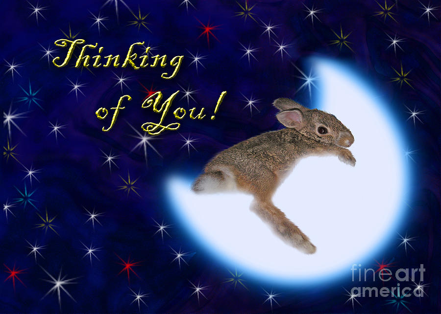 Nature Photograph - Thinking of You Bunny Rabbit #1 by Jeanette K