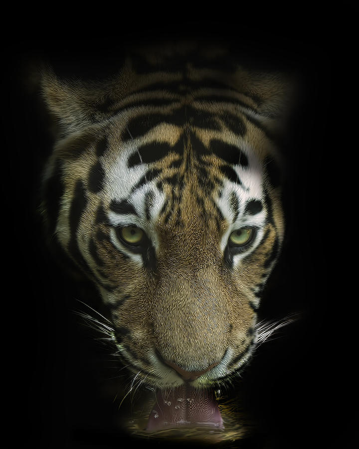 Tiger Photograph - Thirst #1 by Cheri McEachin