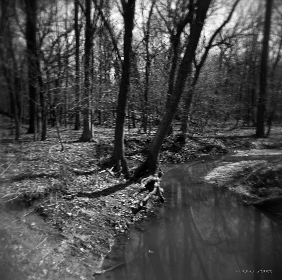 Thorn Creek #1 Photograph by Verana Stark