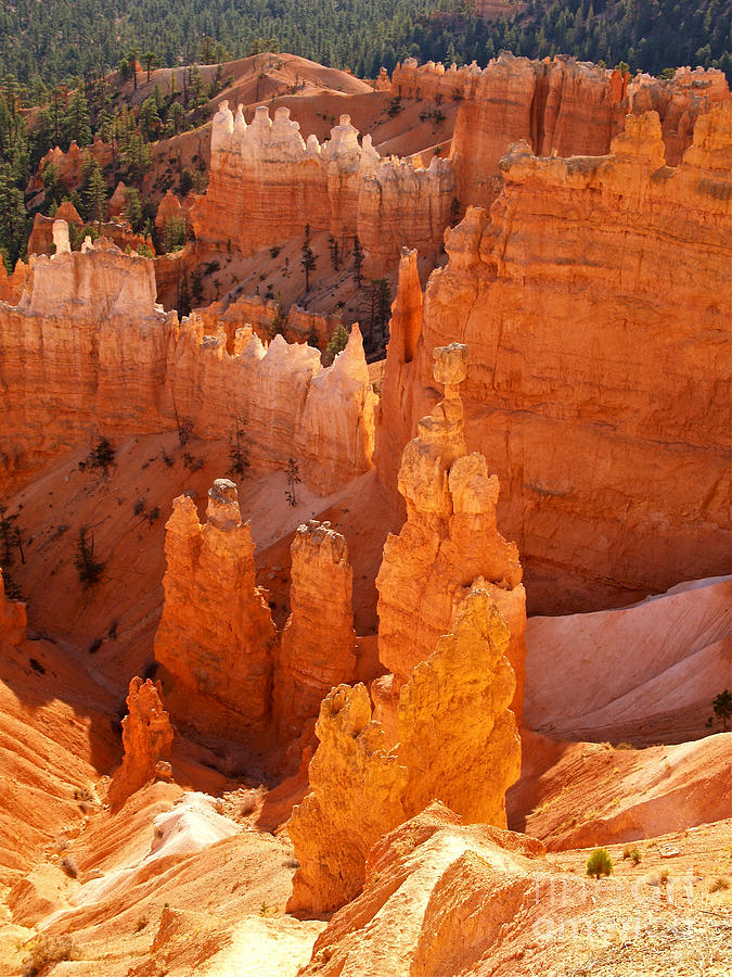 Bryce Canyon National Park Photograph - Thors Hammer at Bryce Canyon #2 by Alex Cassels