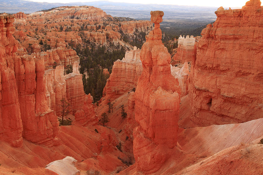 Thors Hammer in the Bryce Canyon Amphitheater #1 Photograph by Alan Vance Ley