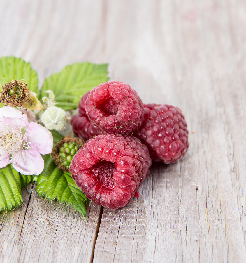 Three Raspberries With Leaves Photograph