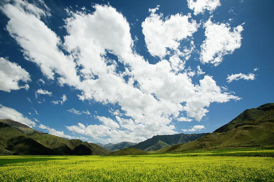 Tibetan Plateau #1 by Peter Menzel/science Photo Library