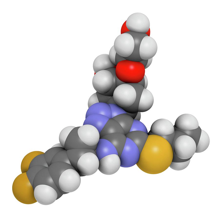 Platelet Photograph - Ticagrelor Platelet Inhibitor Drug #1 by Molekuul