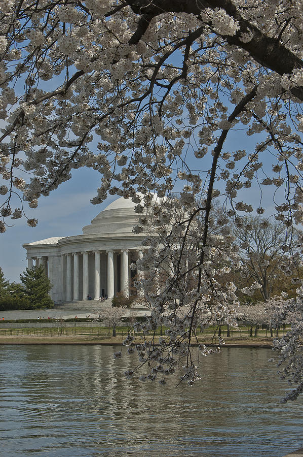Tidal Basin #2 Photograph by Valerie Brown
