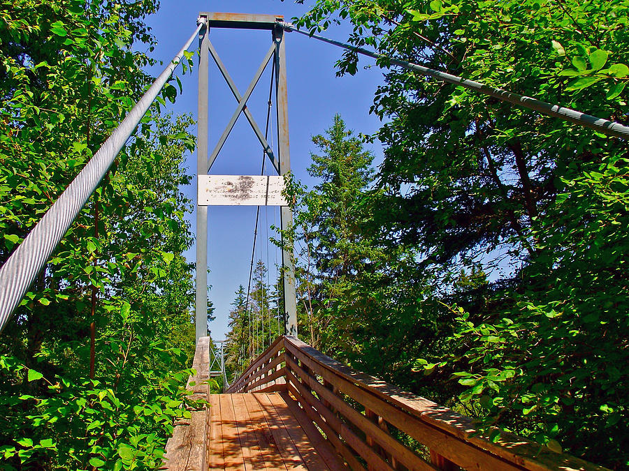 Tidnish Suspension Bridge From Henry Ketchum Hiking Trail-ns Photograph