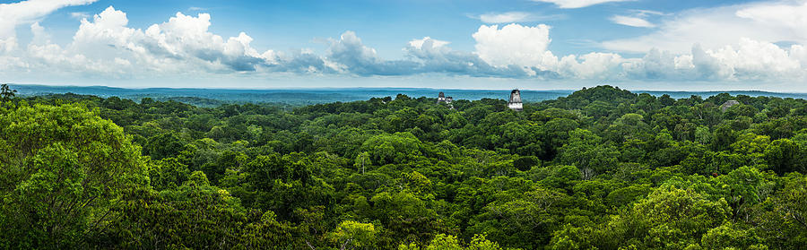 Tikal #1 Photograph by Voisin/Phanie