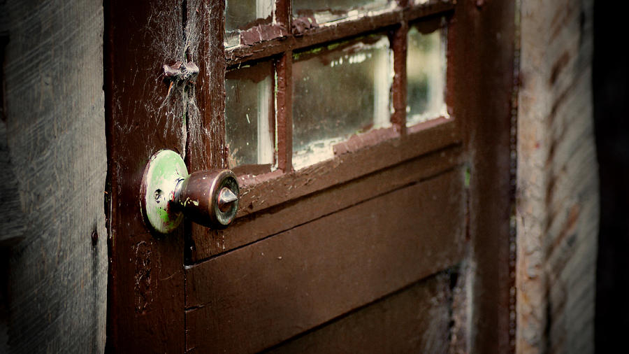 Timeworn Door #1 Photograph by Anita Braconnier