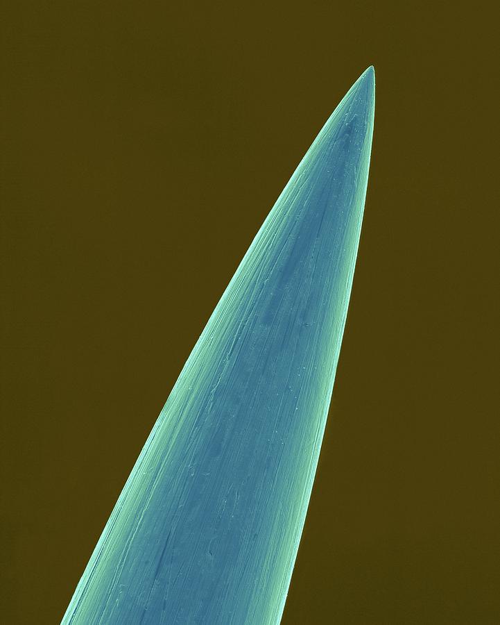 Tip Of A Tattoo Needle #1 Photograph by Dennis Kunkel Microscopy/science Photo Library