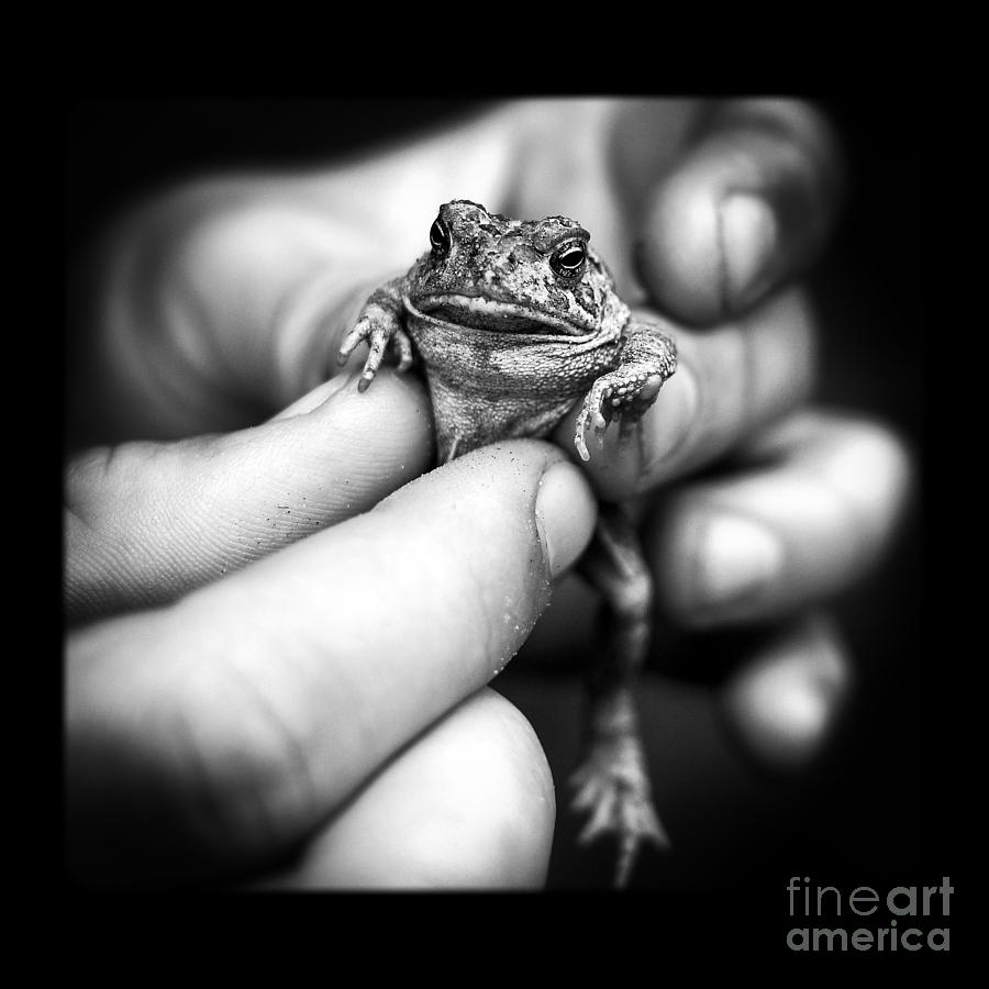 Toad in Hand Photograph by Edward Fielding
