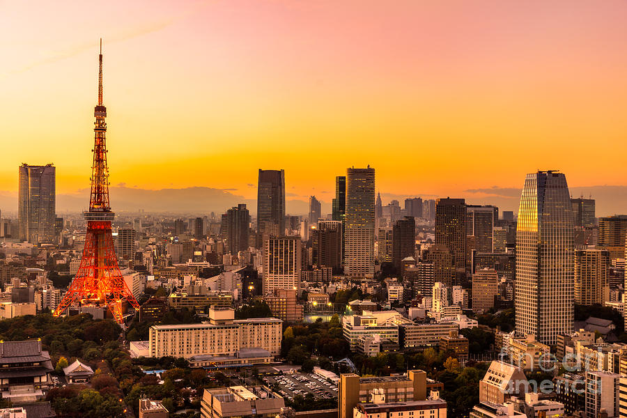 Tokyo - Japan #1 Photograph by Luciano Mortula