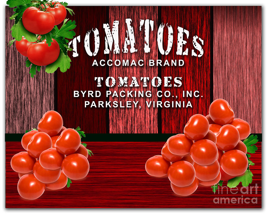 Tomato Farm #1 Mixed Media by Marvin Blaine