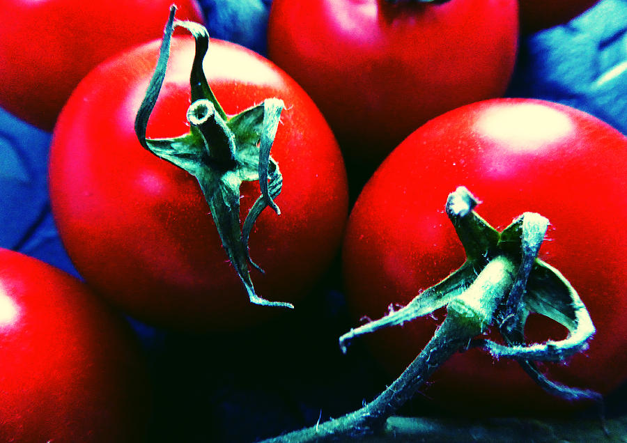 Tomatoes #1 Photograph by Laurie Tsemak