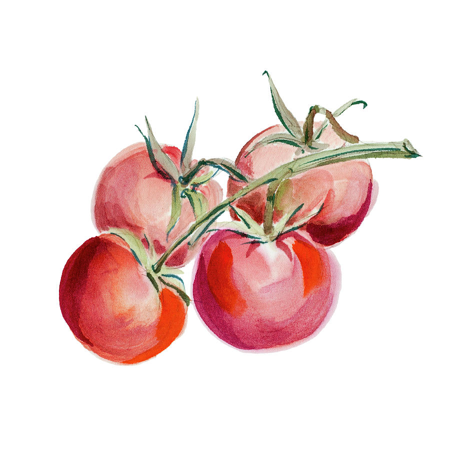 Tomatoes Watercolor Painting #1 Digital Art by Mashuk