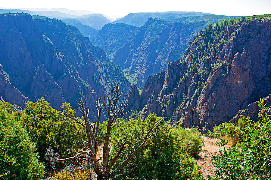 Tomichi Point in Black Canyon of the Gunnison National Park-Colorado #1 Photograph by Ruth Hager