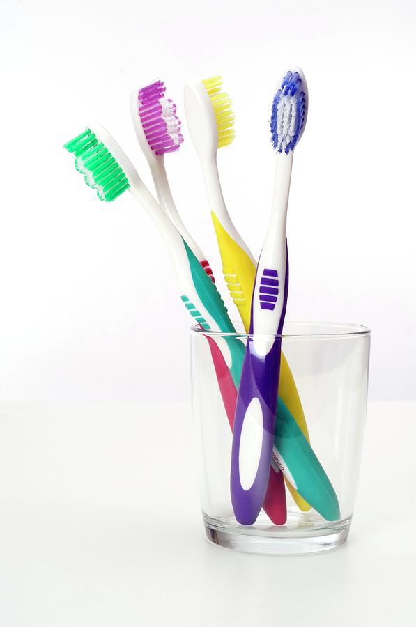 Toothbrushes #1 Photograph by Daniel Sambraus/science Photo Library