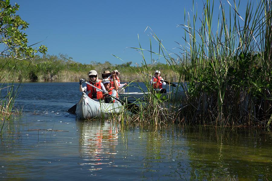 Everglades National Park Photograph - Tourists Canoeing In Mangrove Swamp #1 by Jim West