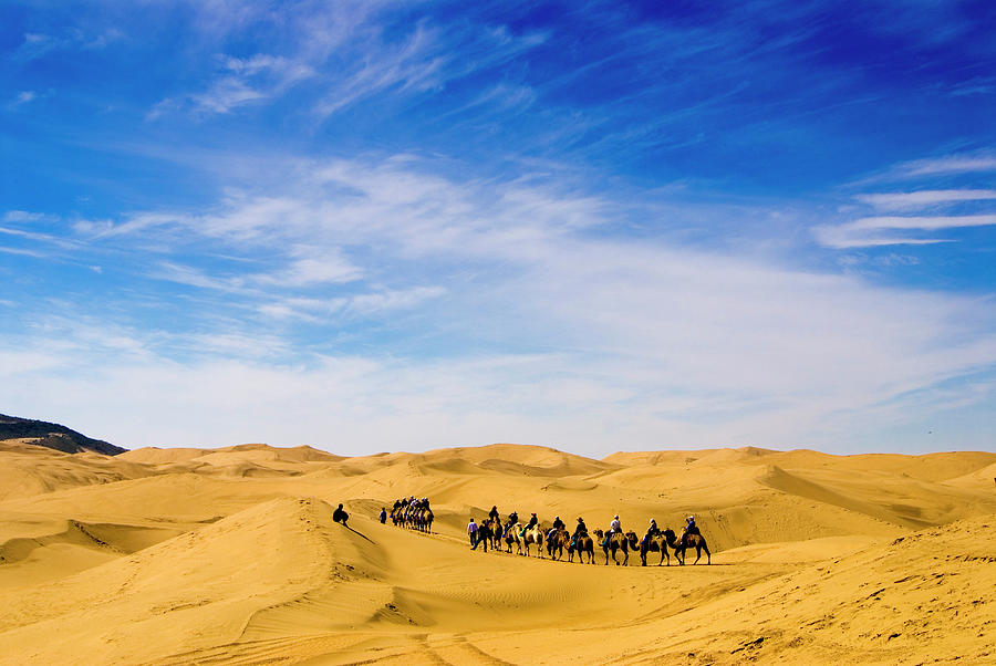 Tourists Riding Camels On Desert Dunes #1 Photograph by Aldo Pavan